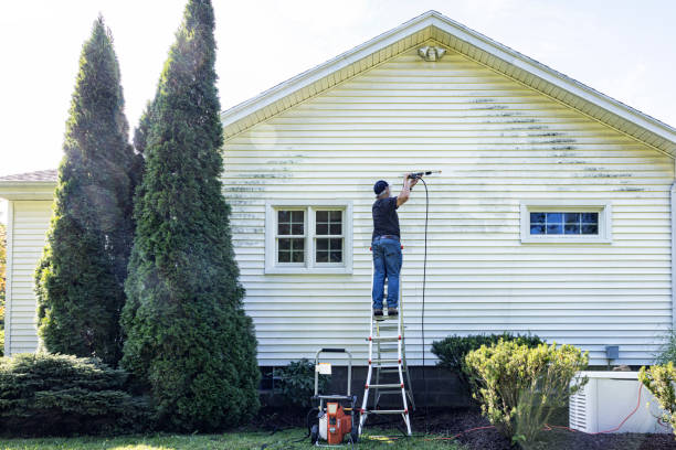 Best Residential Pressure Washing in Versailles, MO
